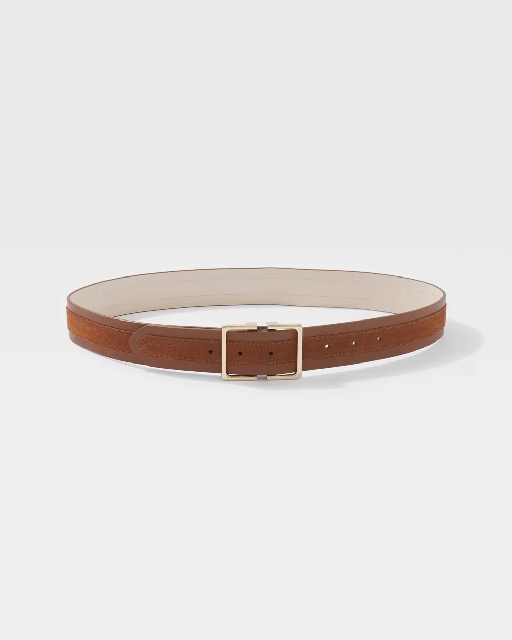 Wide Belt with Gold Buckle Vachetta